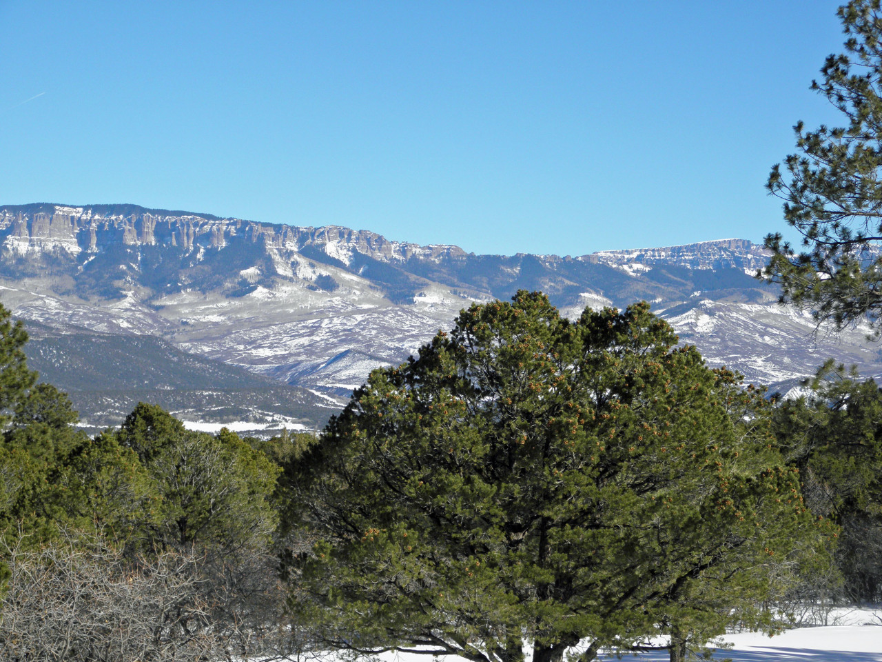 223 Juniper Road South Ridgway, CO 81432 - Photo 16 of 21 Sawtooths from deck
