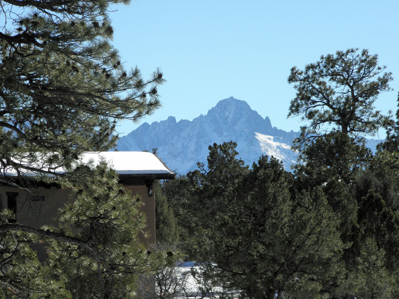 223 Juniper Road South Ridgway, CO 81432 - Photo 17 of 21 sneffels 2