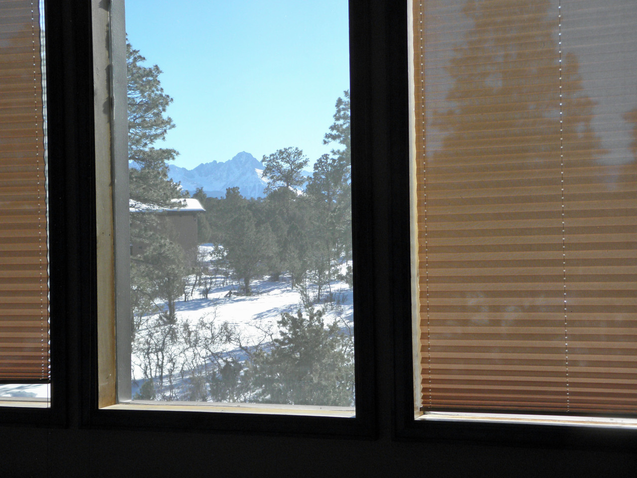223 Juniper Road South Ridgway, CO 81432 - Photo 19 of 21 sneffels through living room windows