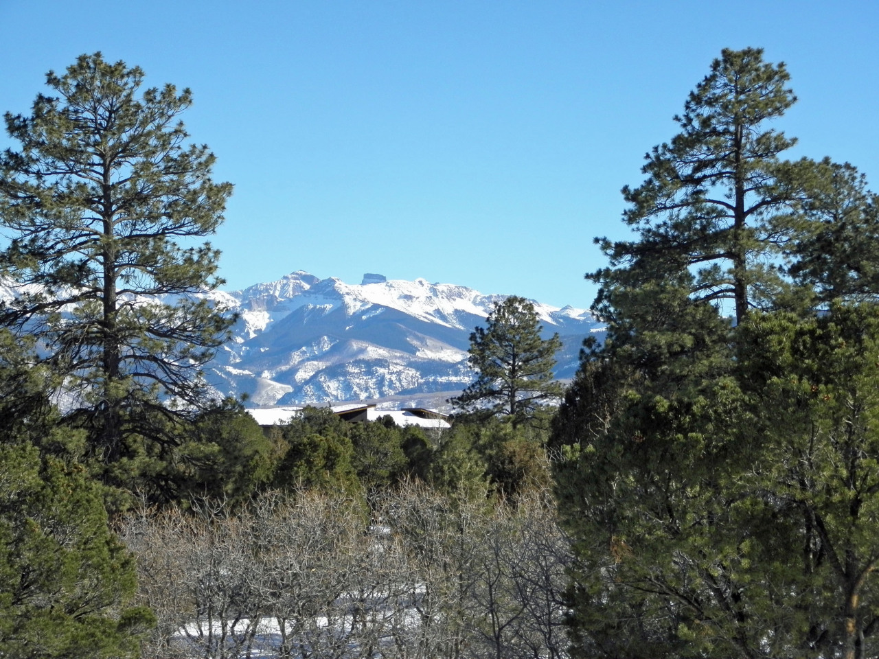 223 Juniper Road South Ridgway, CO 81432 - Photo 2 of 21 Cockscomb from deck