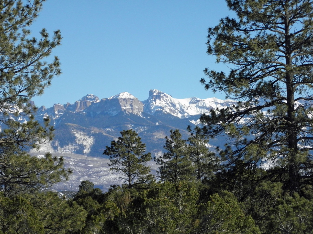 223 Juniper Road South Ridgway, CO 81432 - Photo 4 of 21 courthouse close up