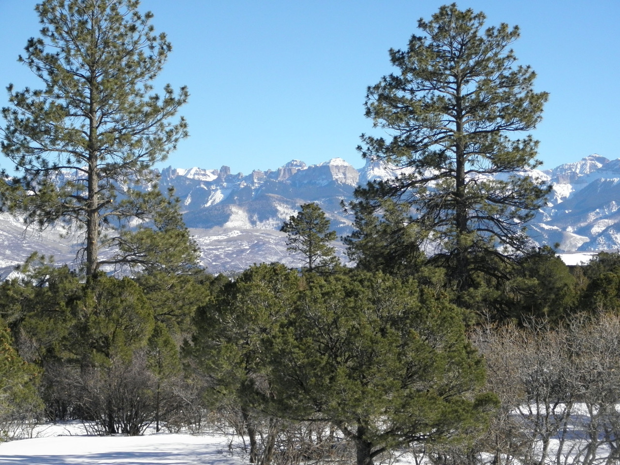 223 Juniper Road South Ridgway, CO 81432 - Photo 5 of 21 Courthouse from deck