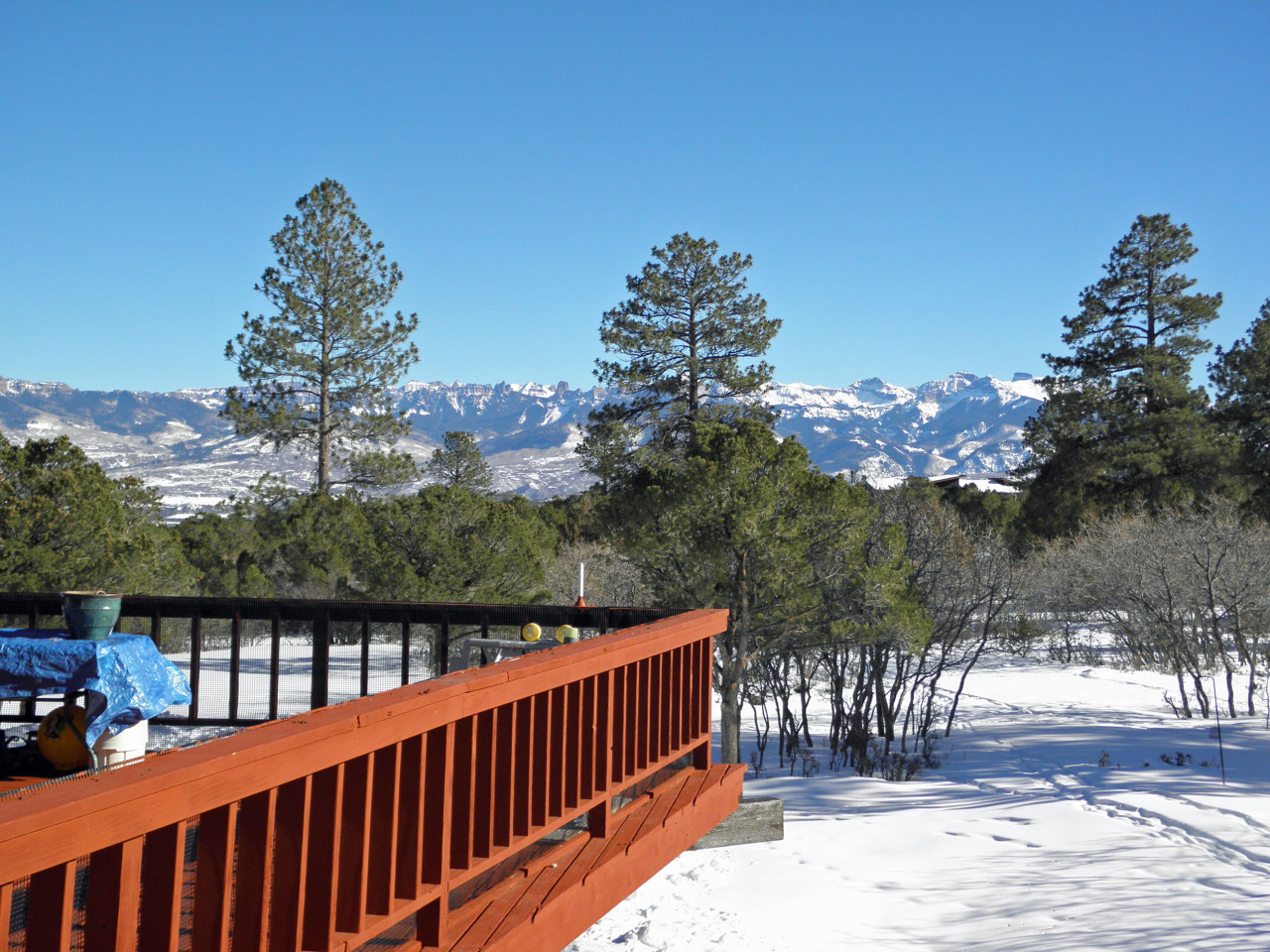 223 Juniper Road South Ridgway, CO 81432 - Photo 6 of 21 deck and cimarrons