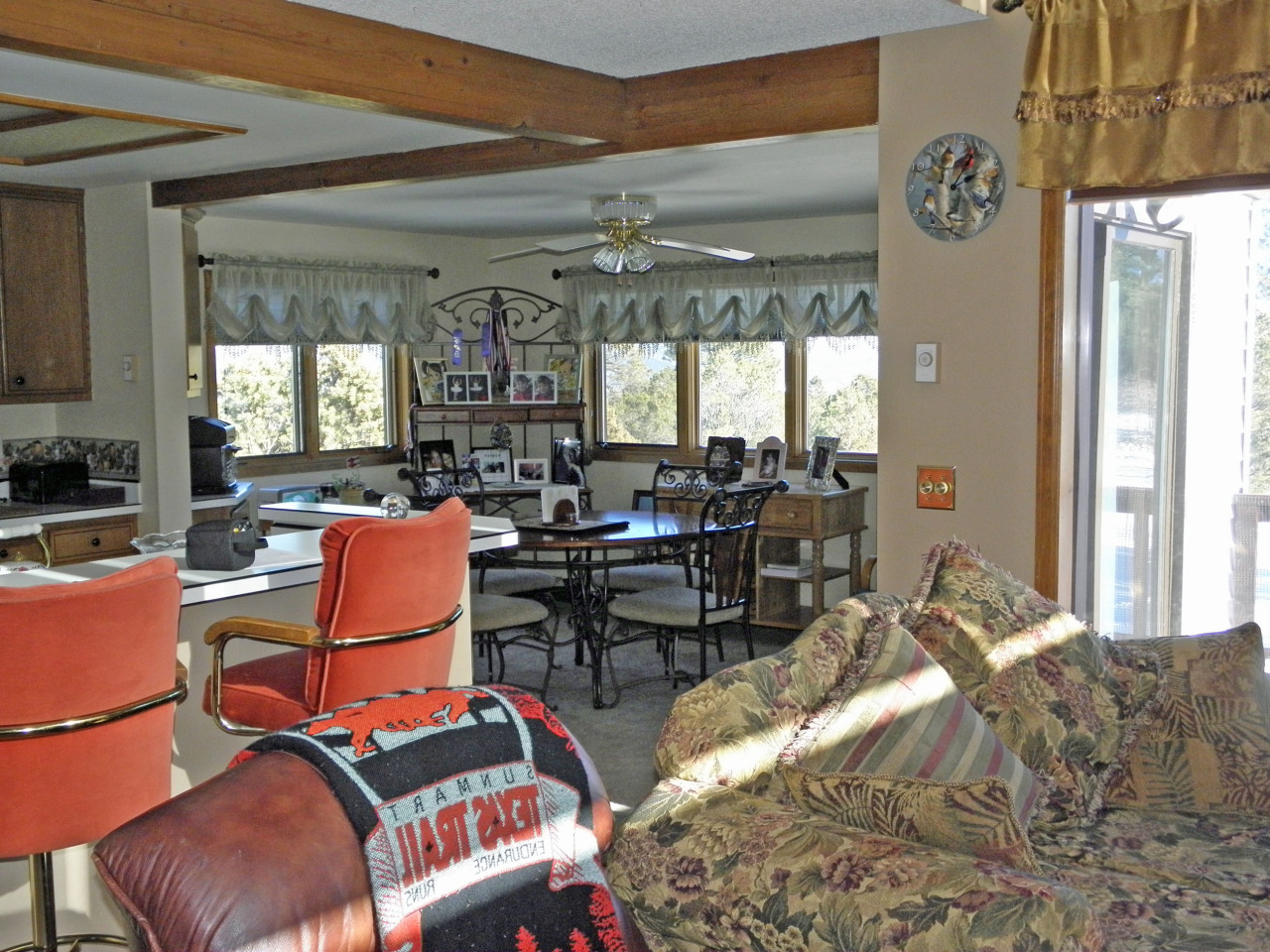 223 Juniper Road South Ridgway, CO 81432 - Photo 10 of 21 living room looking into dining room