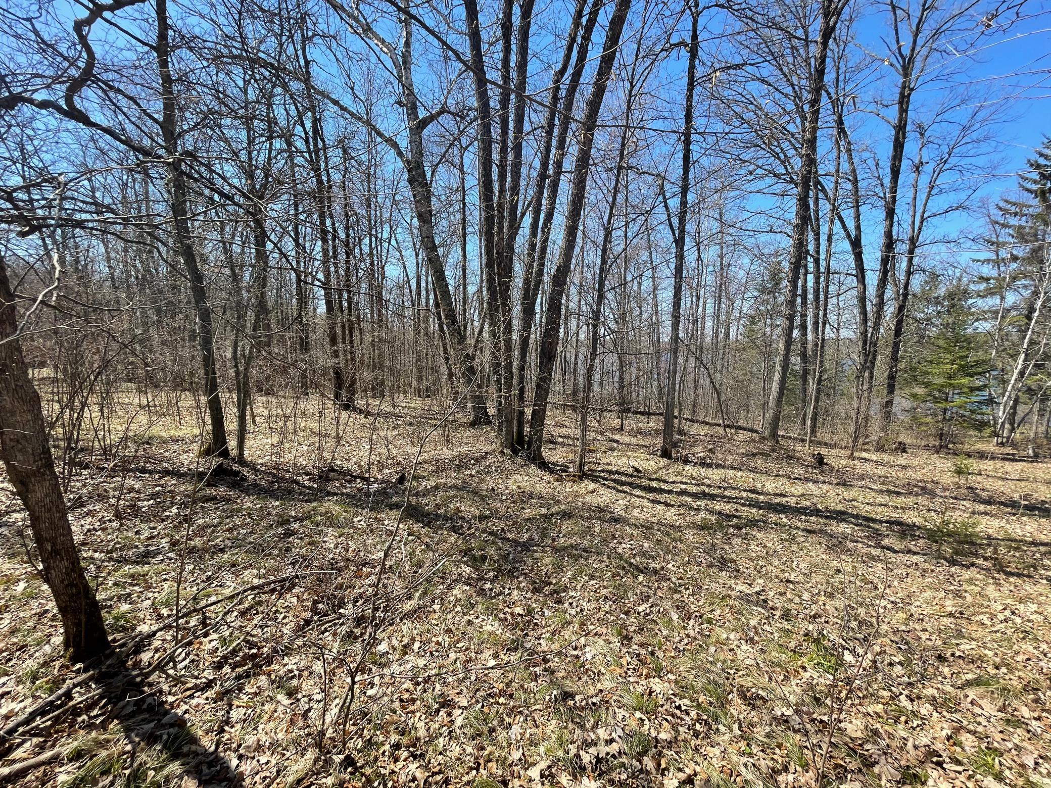 Lot 7-blk Jermark Road Fifty Lakes, MN 56448 - Photo 14 of 21 Gallery Image 14