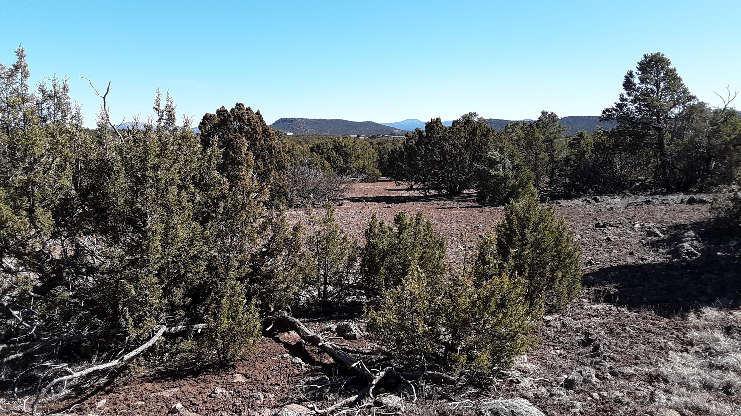 Tbd 8221 Concho, AZ 85924 - Photo 1 of 25