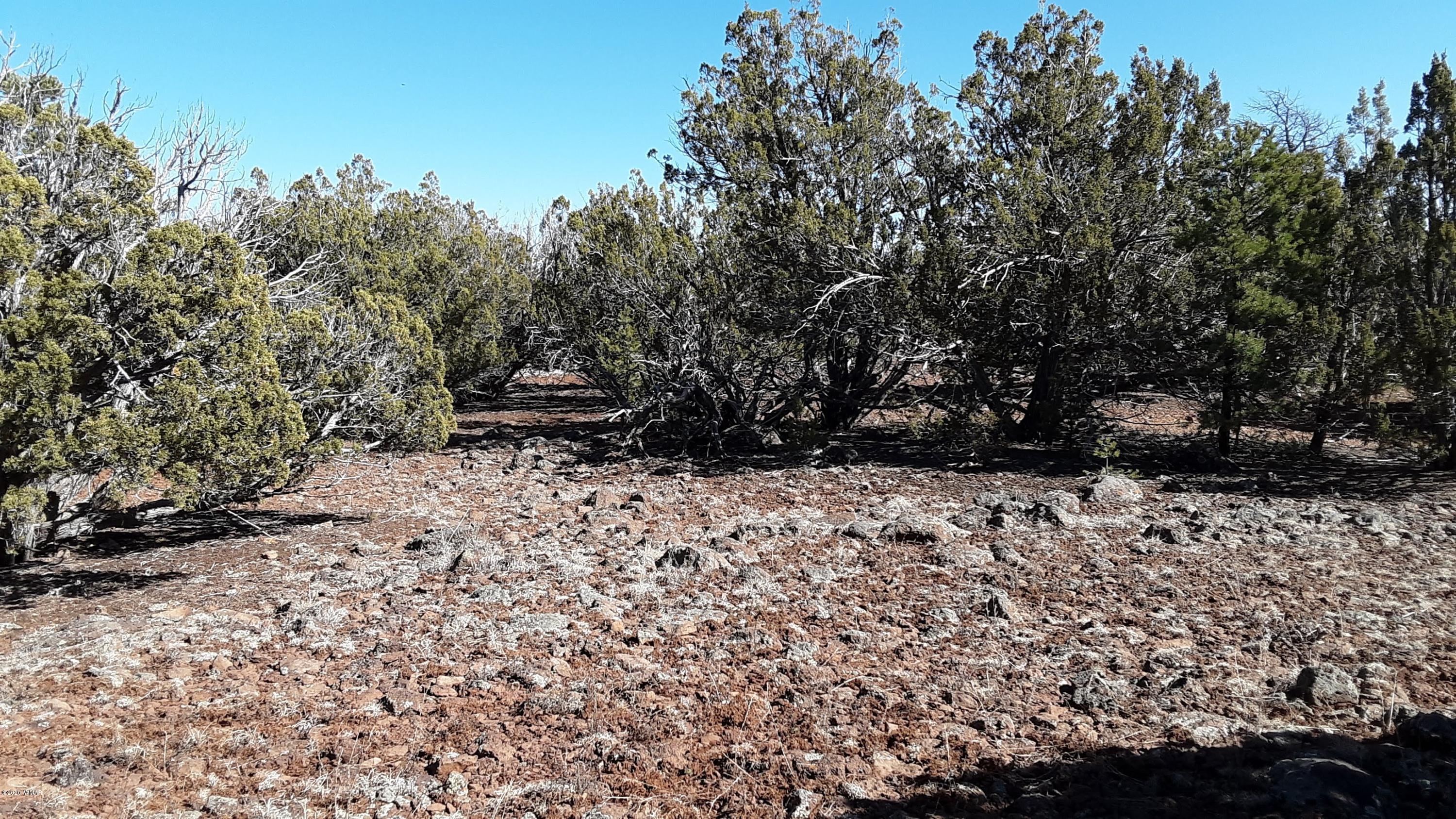 Tbd 8221 Concho, AZ 85924 - Photo 11 of 25