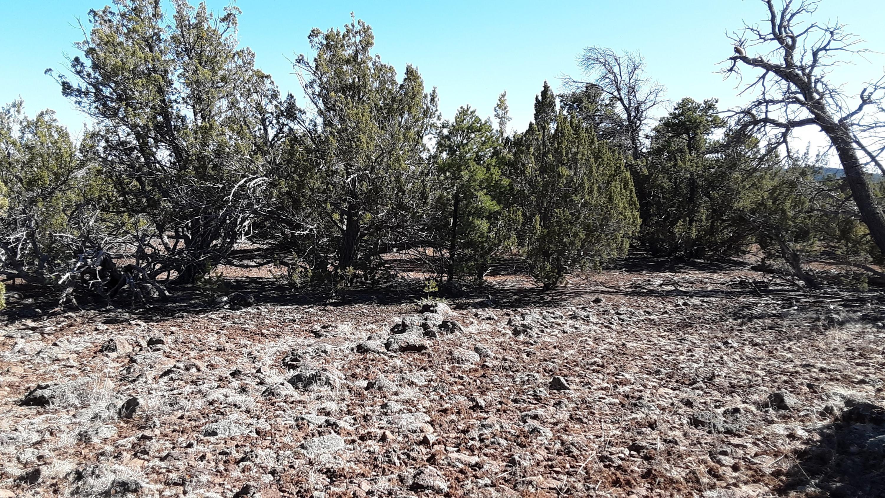 Tbd 8221 Concho, AZ 85924 - Photo 12 of 25