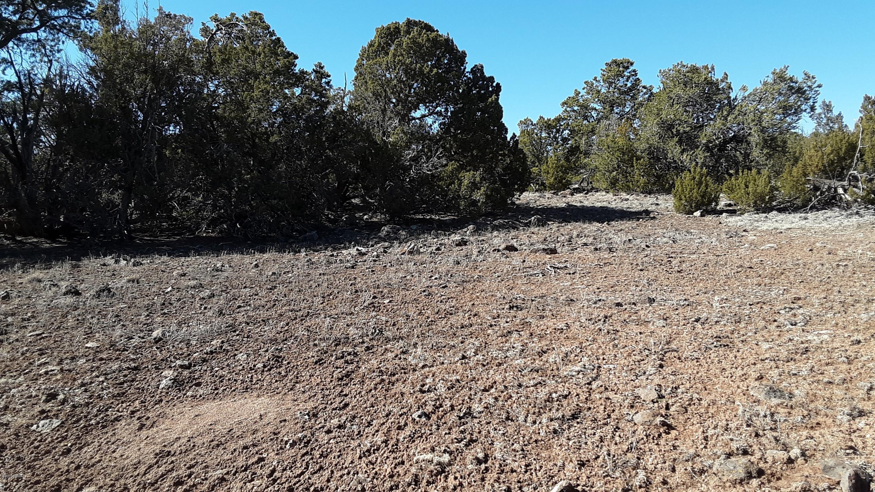 Tbd 8221 Concho, AZ 85924 - Photo 15 of 25