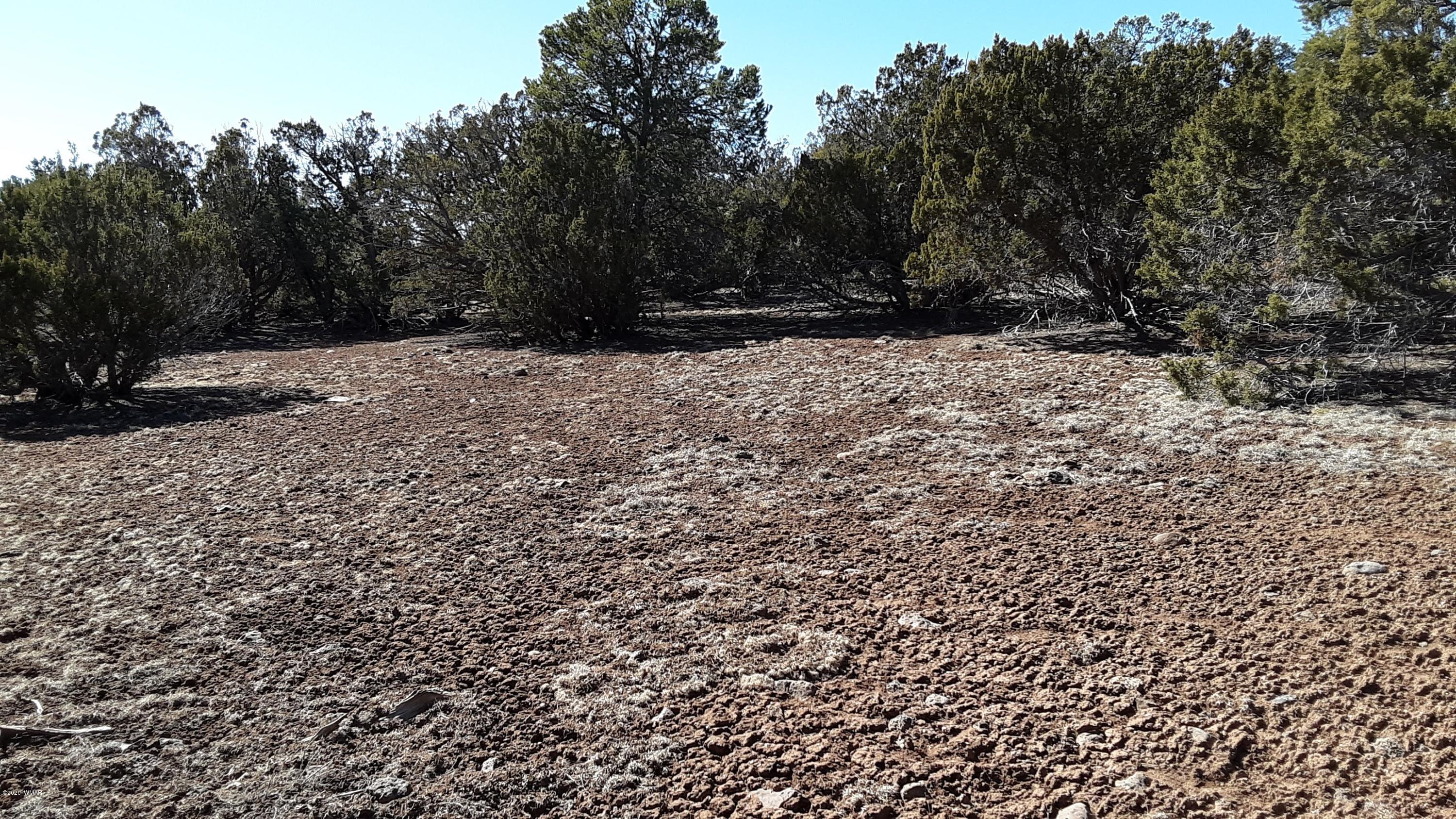 Tbd 8221 Concho, AZ 85924 - Photo 16 of 25