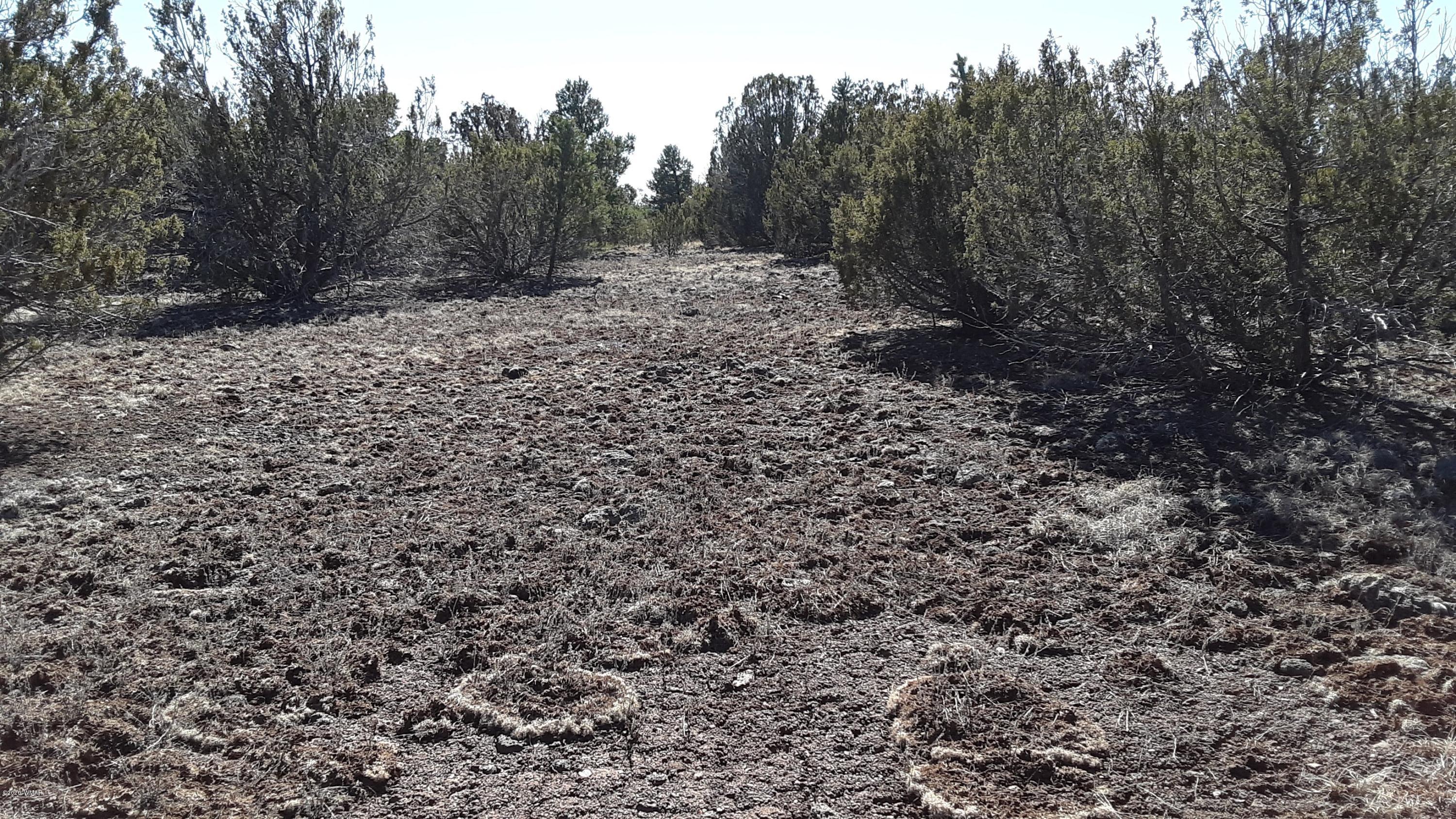 Tbd 8221 Concho, AZ 85924 - Photo 20 of 25