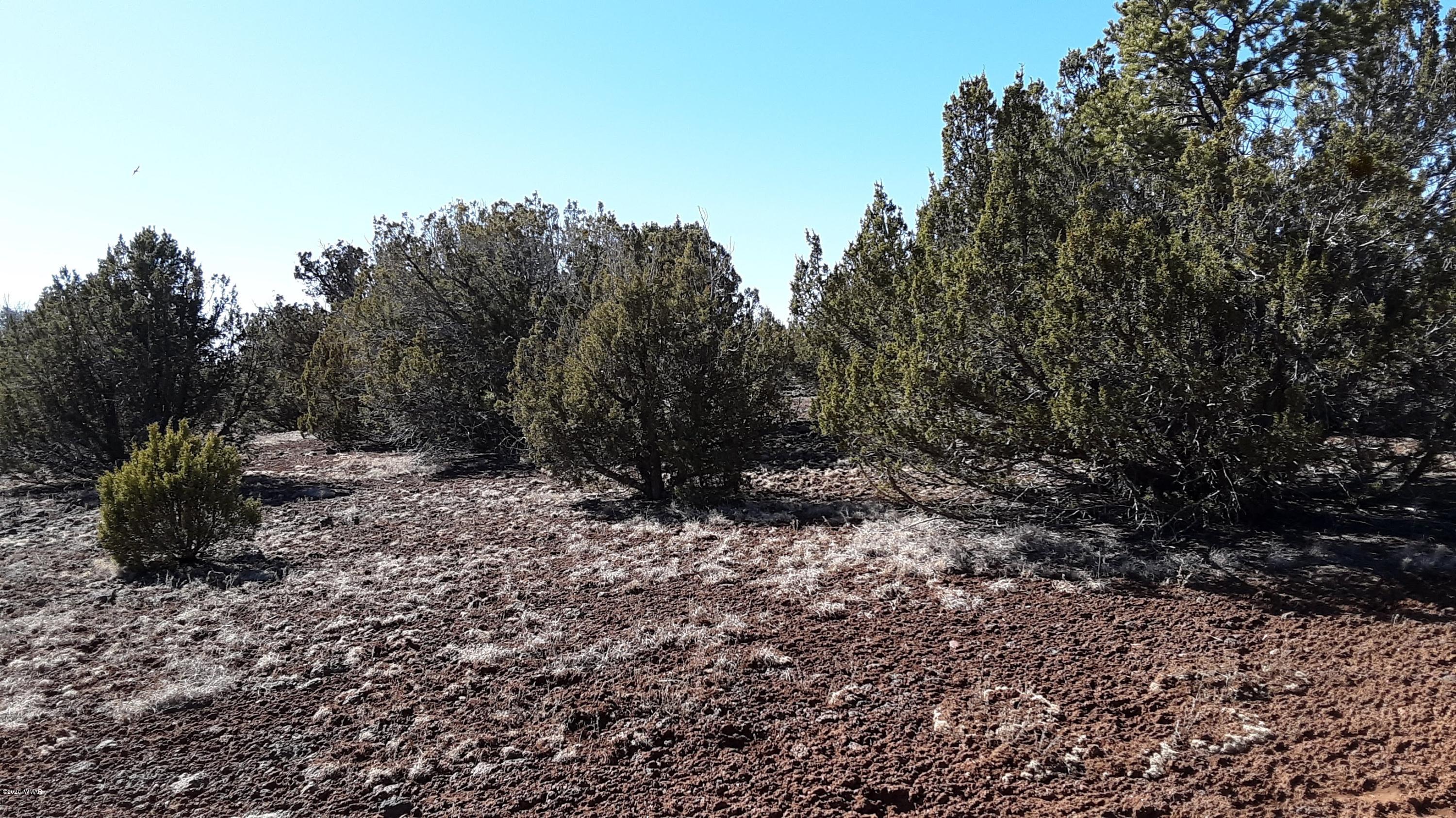 Tbd 8221 Concho, AZ 85924 - Photo 21 of 25