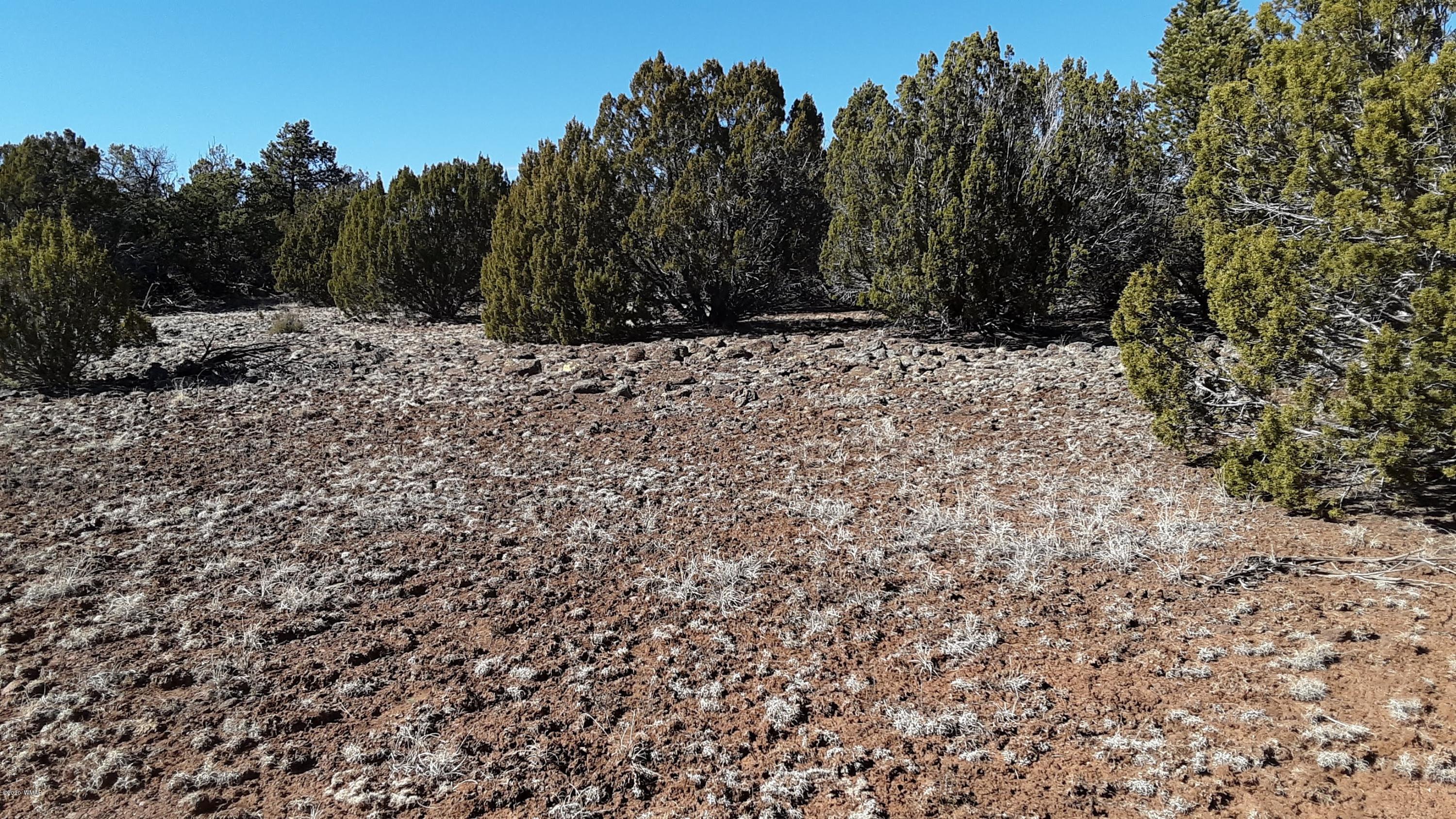 Tbd 8221 Concho, AZ 85924 - Photo 22 of 25