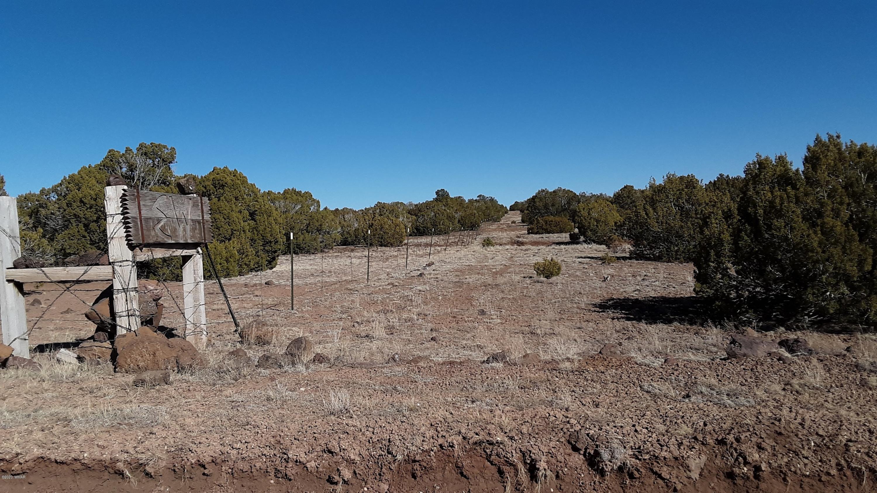 Tbd 8221 Concho, AZ 85924 - Photo 4 of 25
