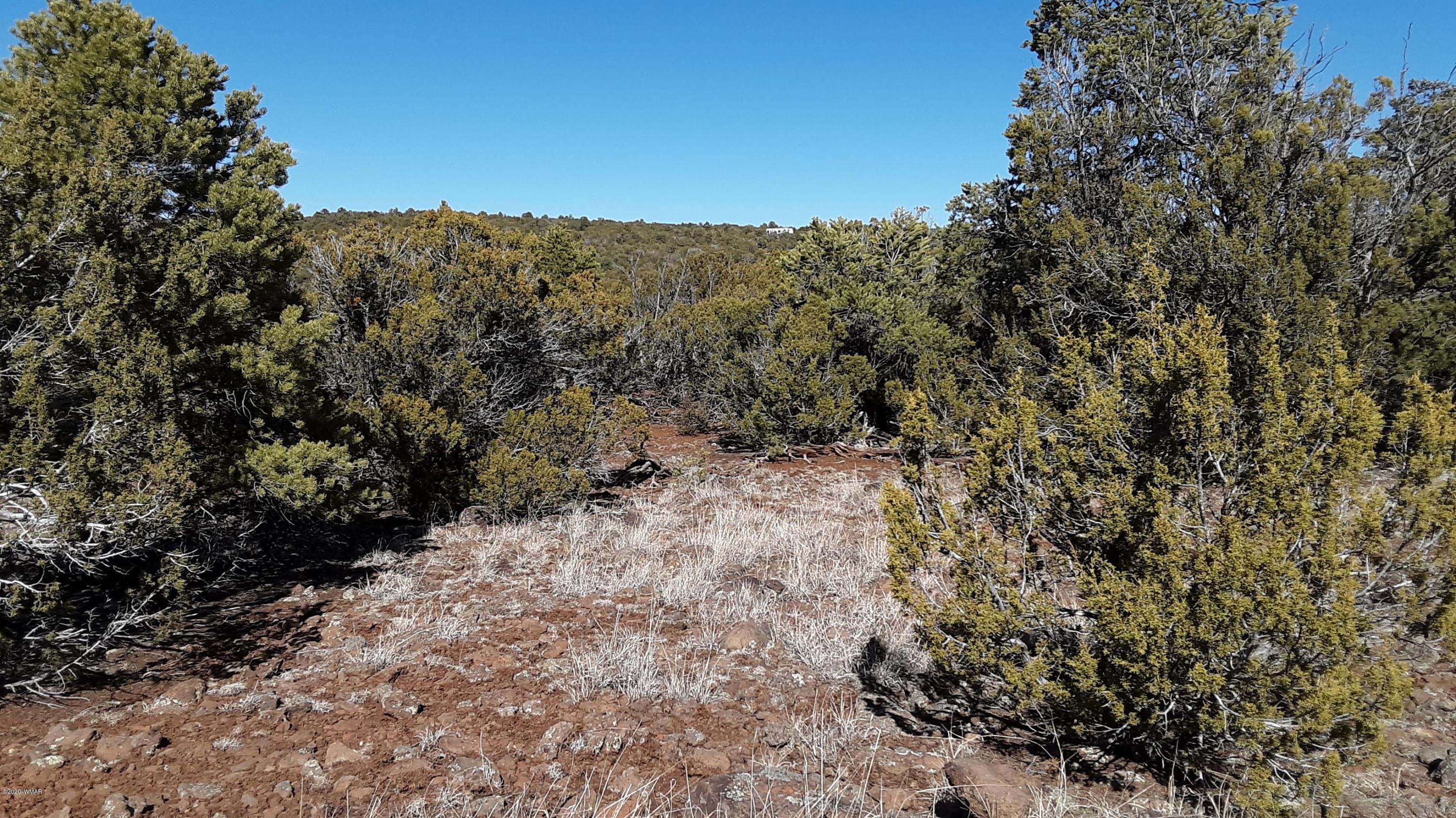 Tbd 8221 Concho, AZ 85924 - Photo 9 of 25