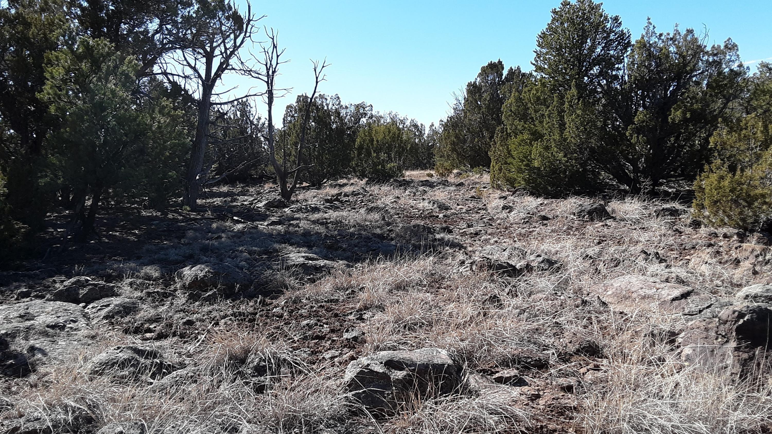 Tbd 8221 Concho, AZ 85924 - Photo 10 of 25