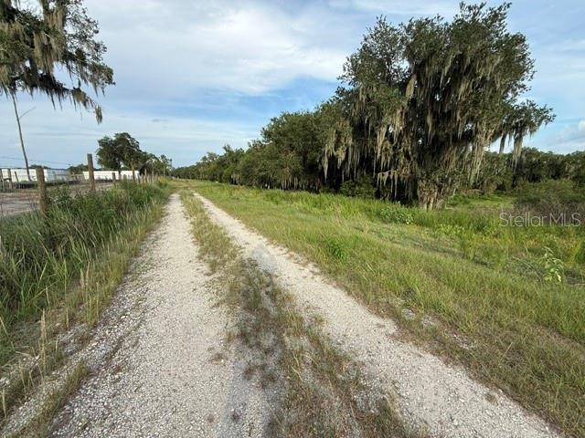 Pool Branch Road Fort Meade, FL 33841 - Photo 11 of 15 a view of a lake with a yard and palm trees