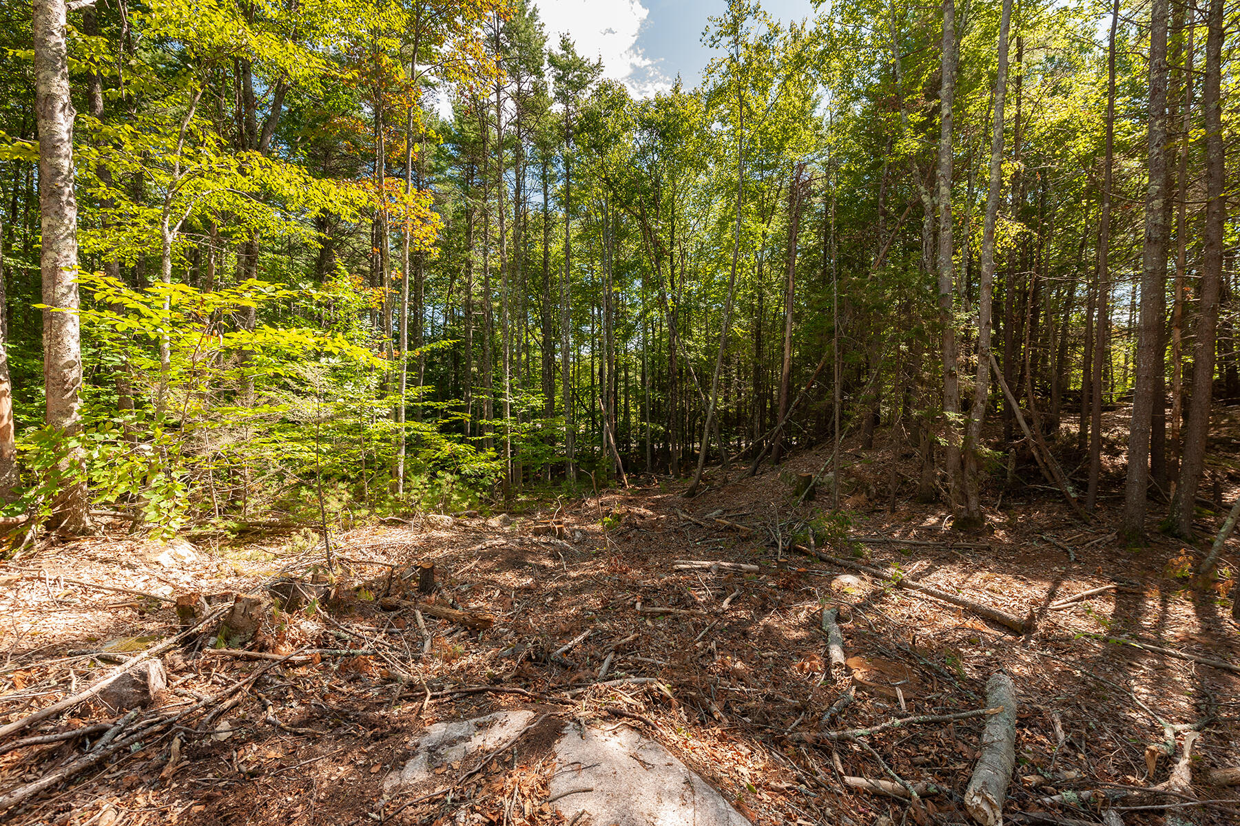 54 Logging Road York, ME 03902 - Photo 7 of 9 _DSC2246-Edit