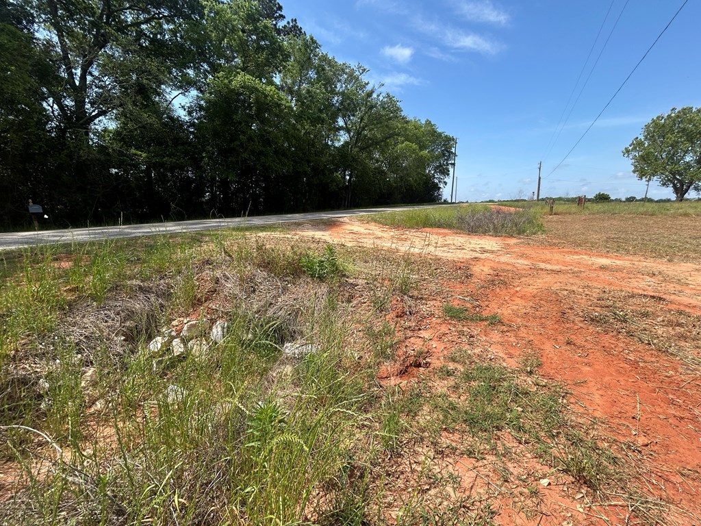 10907-44 -ac) Cty Road Hartford, AL 36344 - Photo 7 of 52