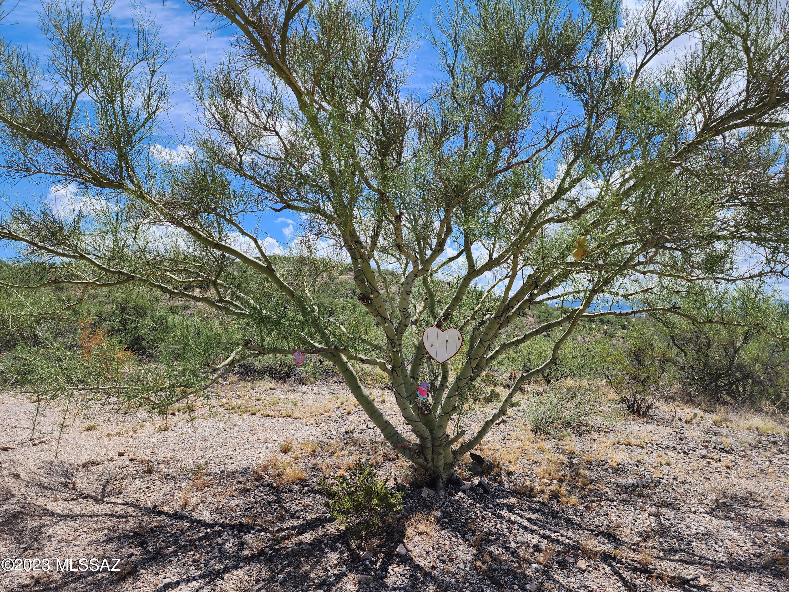 Tbd East Colossal Cave Road Vail, AZ 85641 - Photo 8 of 25