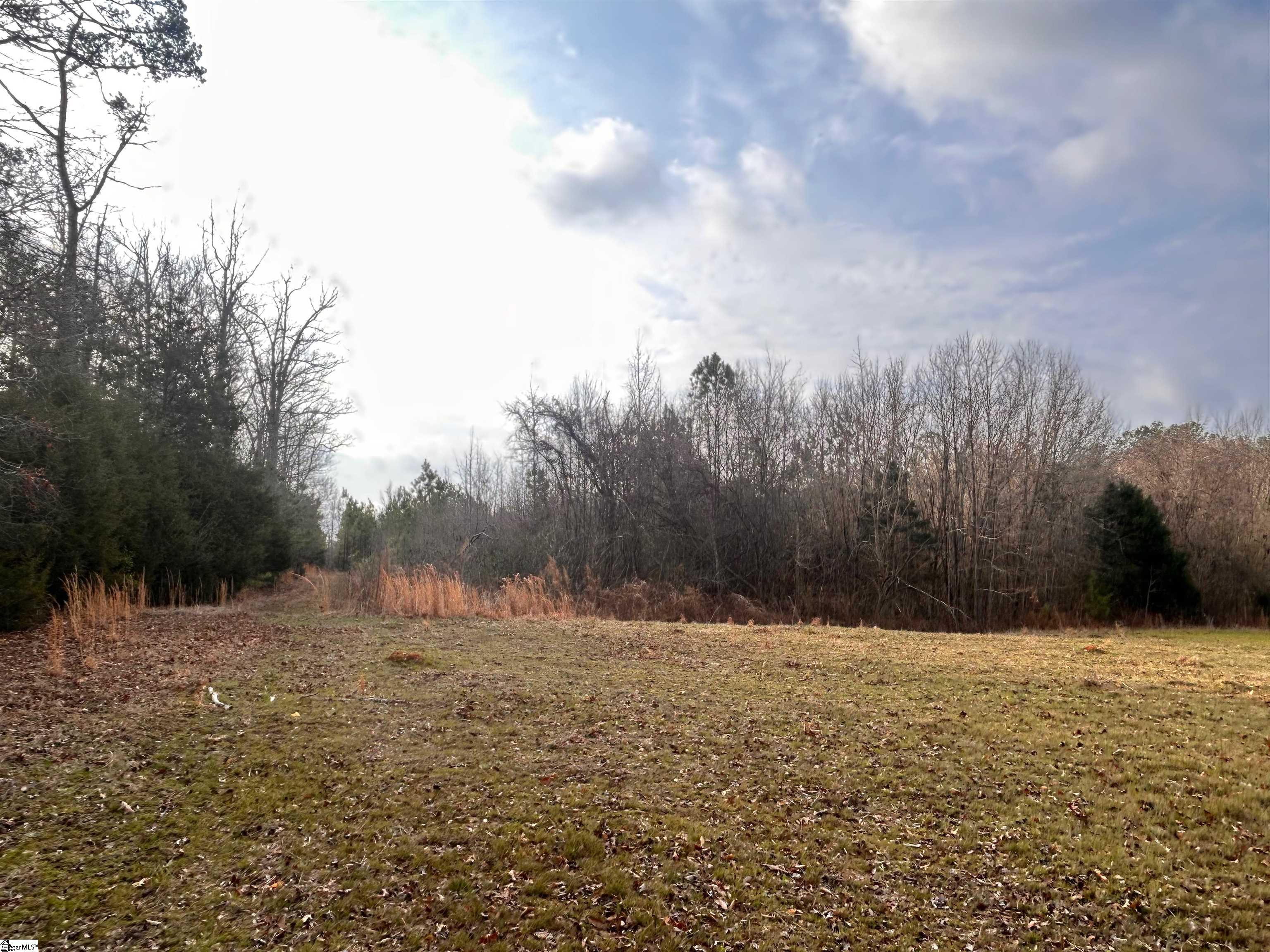 0 Hemlock Drive Clinton, SC 29325 - Photo 12 of 23