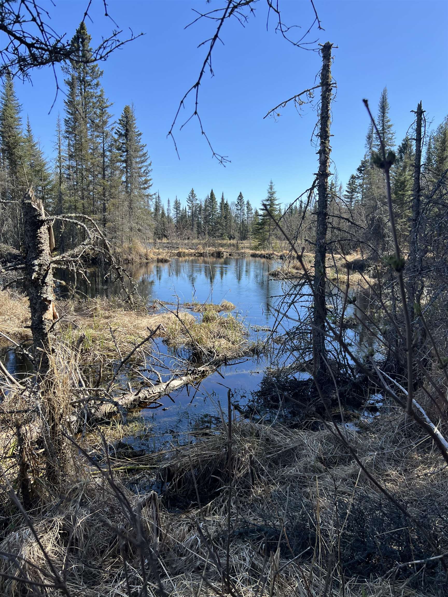 Xx Hefflefinger Road Silver Bay, MN 55614 - Photo 10 of 20 Gallery Image 10
