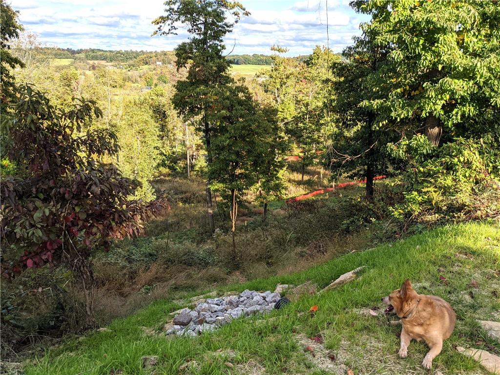 0 Church Road Butler, PA 16002 - Photo 15 of 17