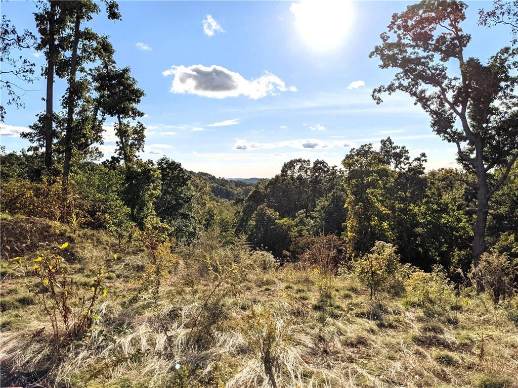 0 Church Road Butler, PA 16002 - Photo 9 of 17