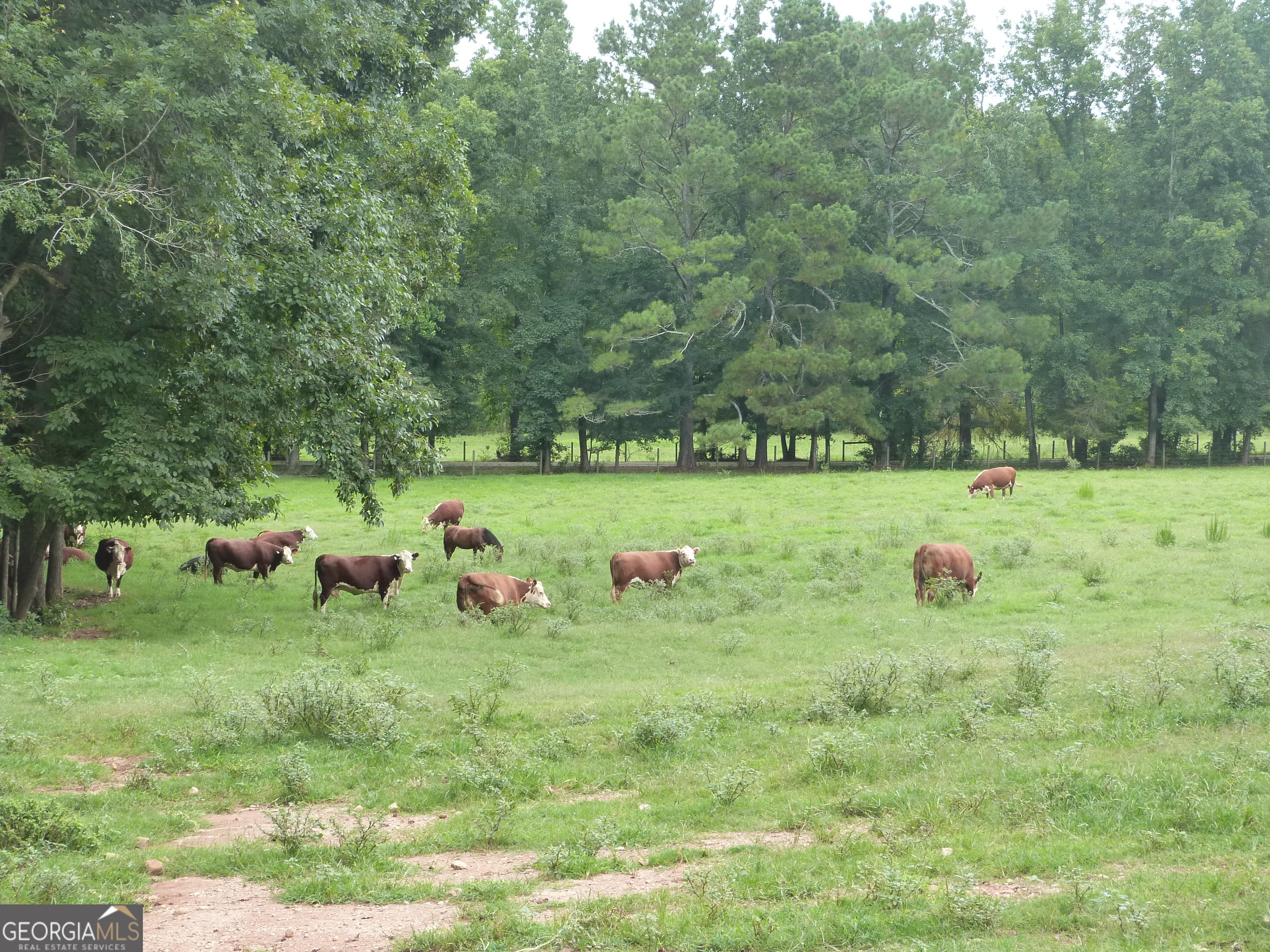 1650-1620 Locklin Cemetery Road Monroe, GA 30655 - Photo 21 of 66