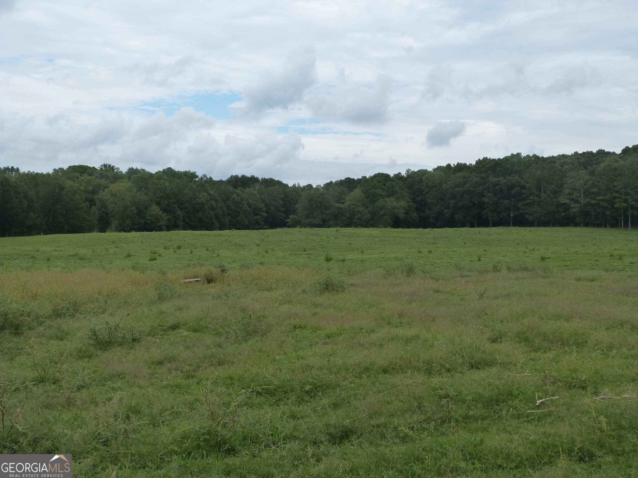 1650-1620 Locklin Cemetery Road Monroe, GA 30655 - Photo 24 of 66