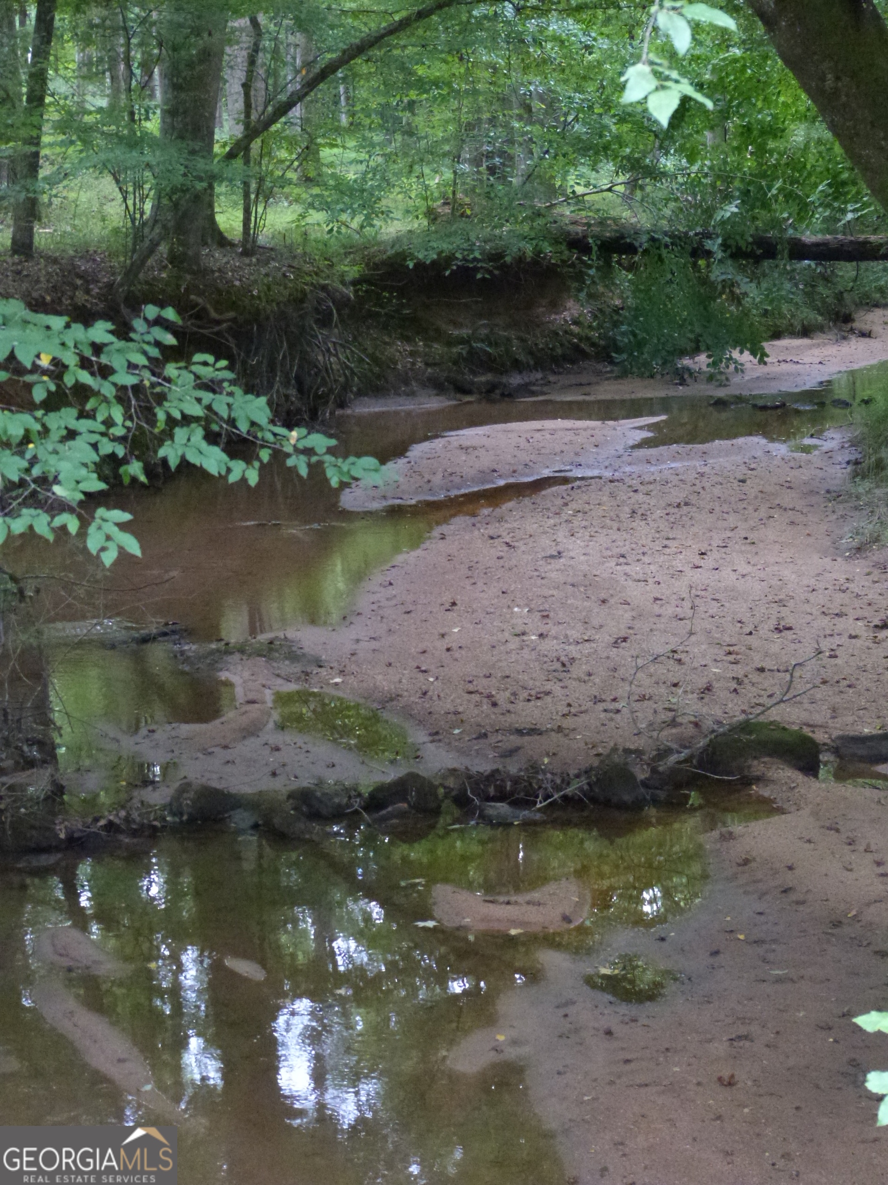 1650-1620 Locklin Cemetery Road Monroe, GA 30655 - Photo 25 of 66