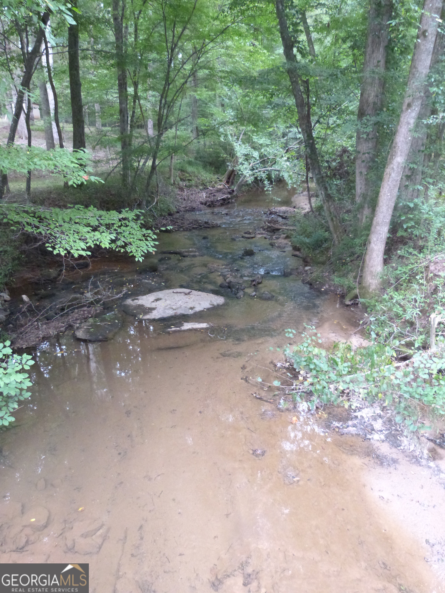 1650-1620 Locklin Cemetery Road Monroe, GA 30655 - Photo 26 of 66
