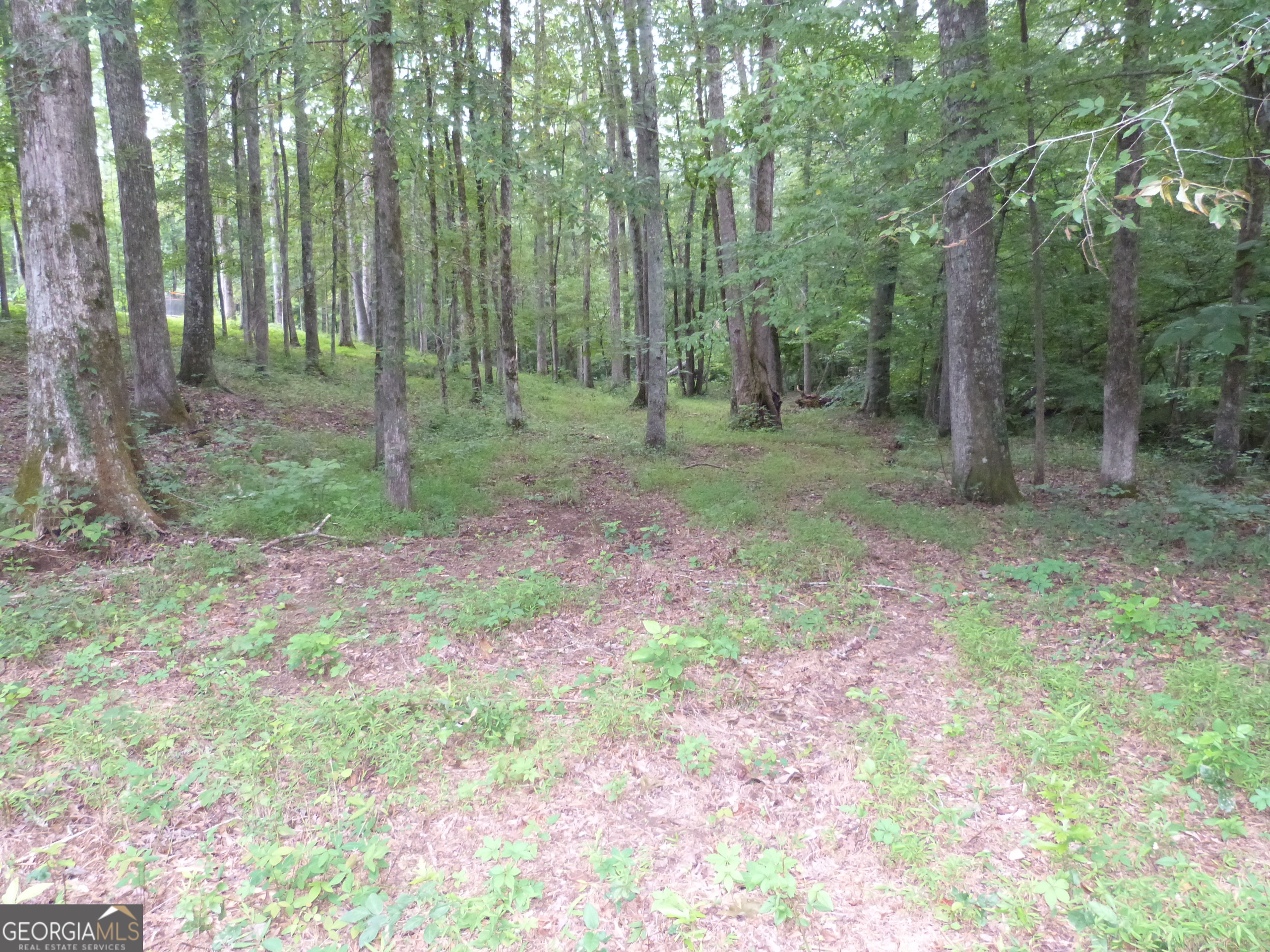 1650-1620 Locklin Cemetery Road Monroe, GA 30655 - Photo 27 of 66