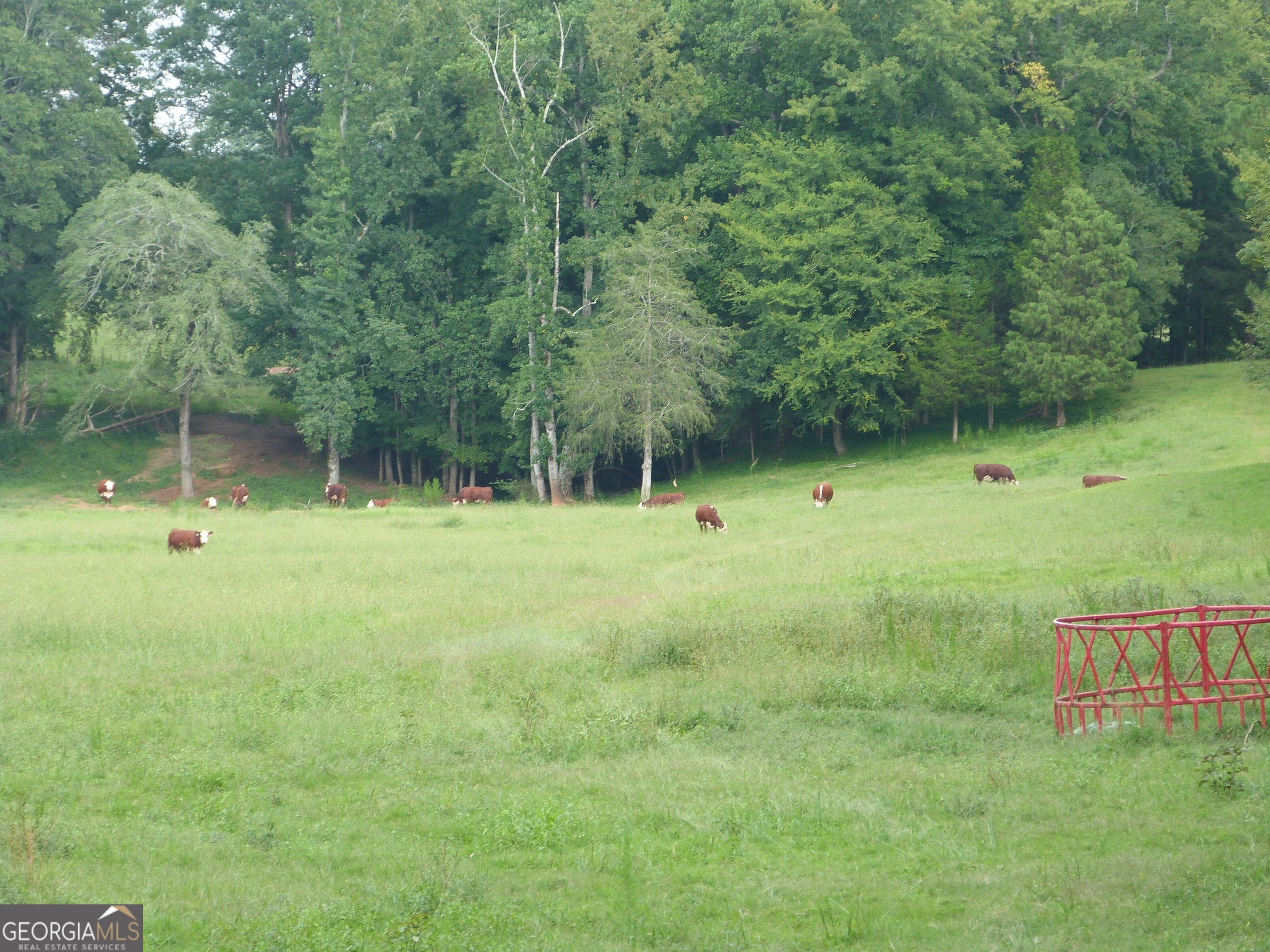 1650-1620 Locklin Cemetery Road Monroe, GA 30655 - Photo 29 of 66