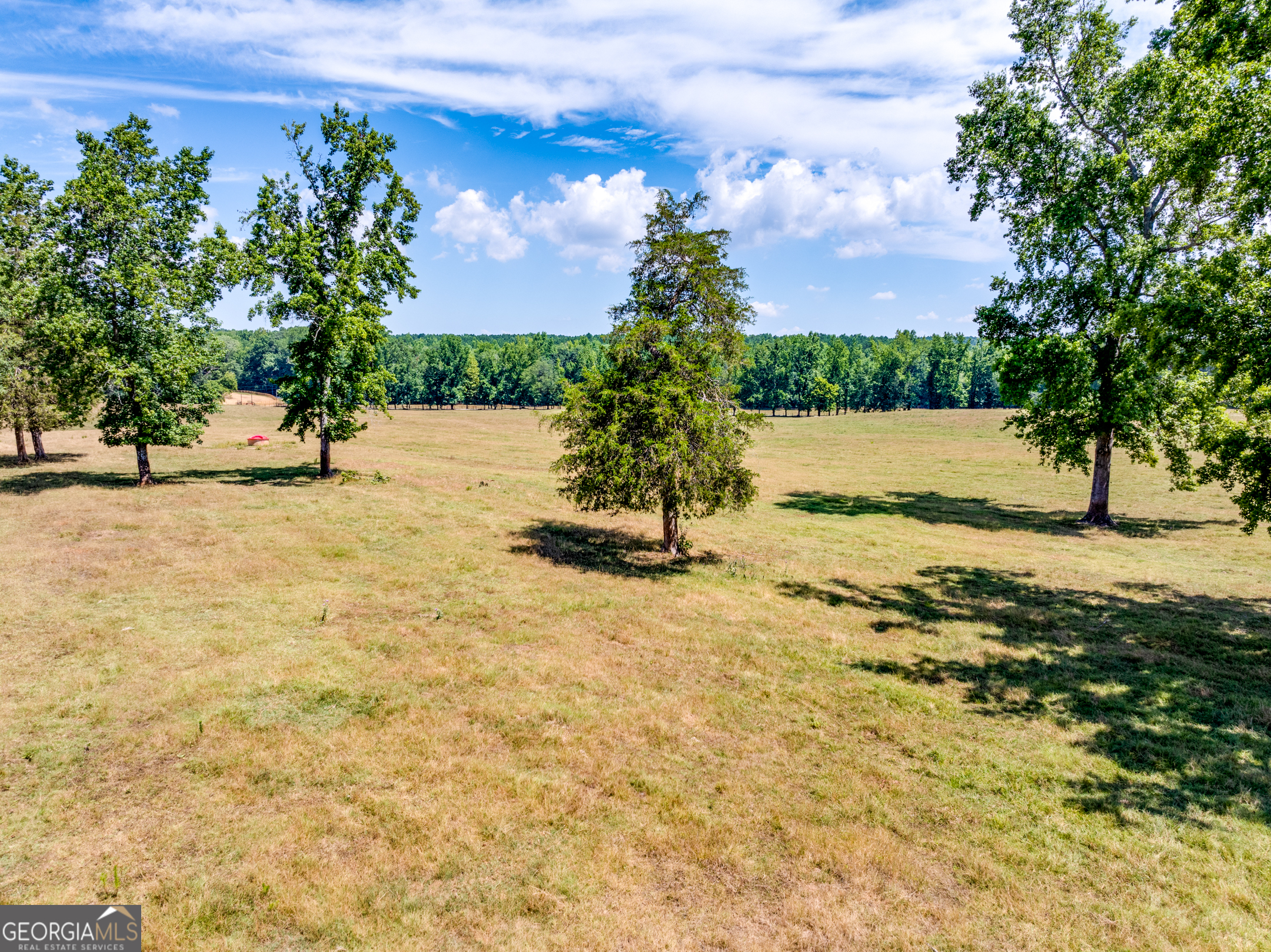1650-1620 Locklin Cemetery Road Monroe, GA 30655 - Photo 5 of 66