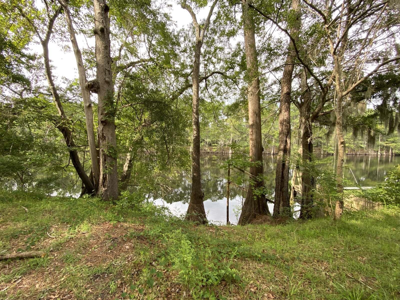 545 River Road Conway, SC 29526 - Photo 1 of 11 Gallery Image 1