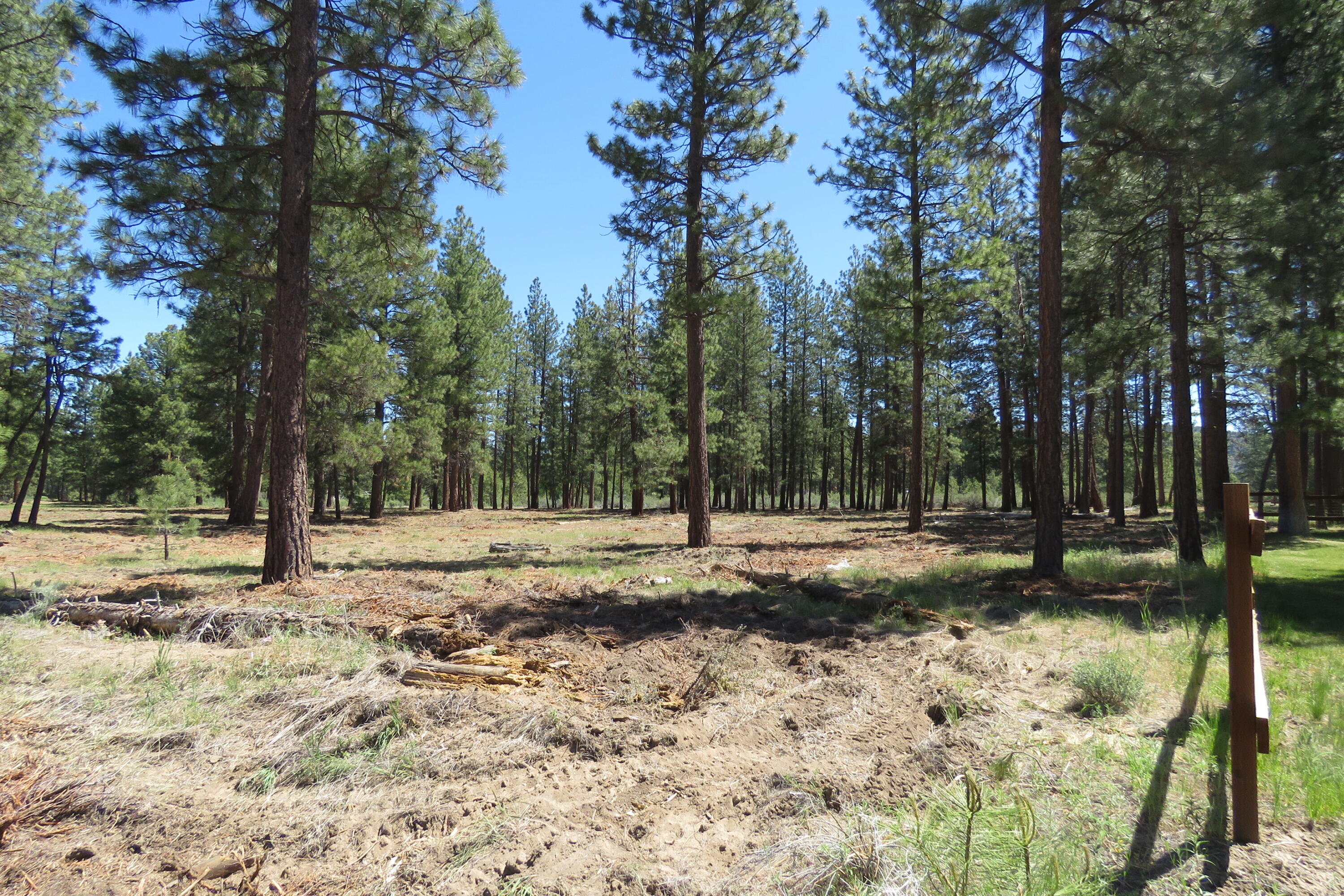 7 Castle Drive Chiloquin, OR 97624 - Photo 1 of 26 IMG_4593
