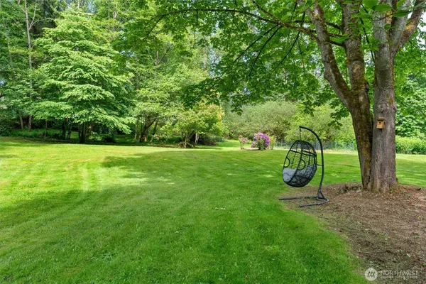 a lush green forest with lots of trees