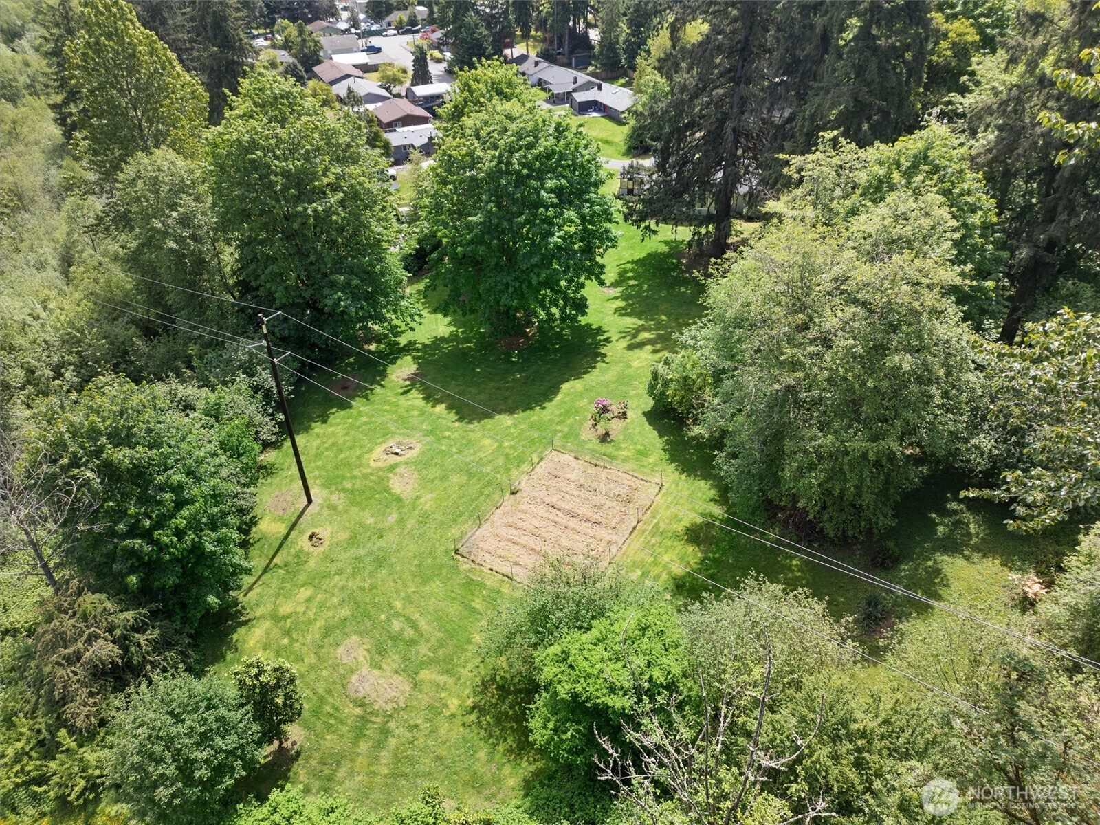16100 Southeast 113th Place Renton, WA 98059 - Photo 37 of 40 a lush green forest with lots of trees