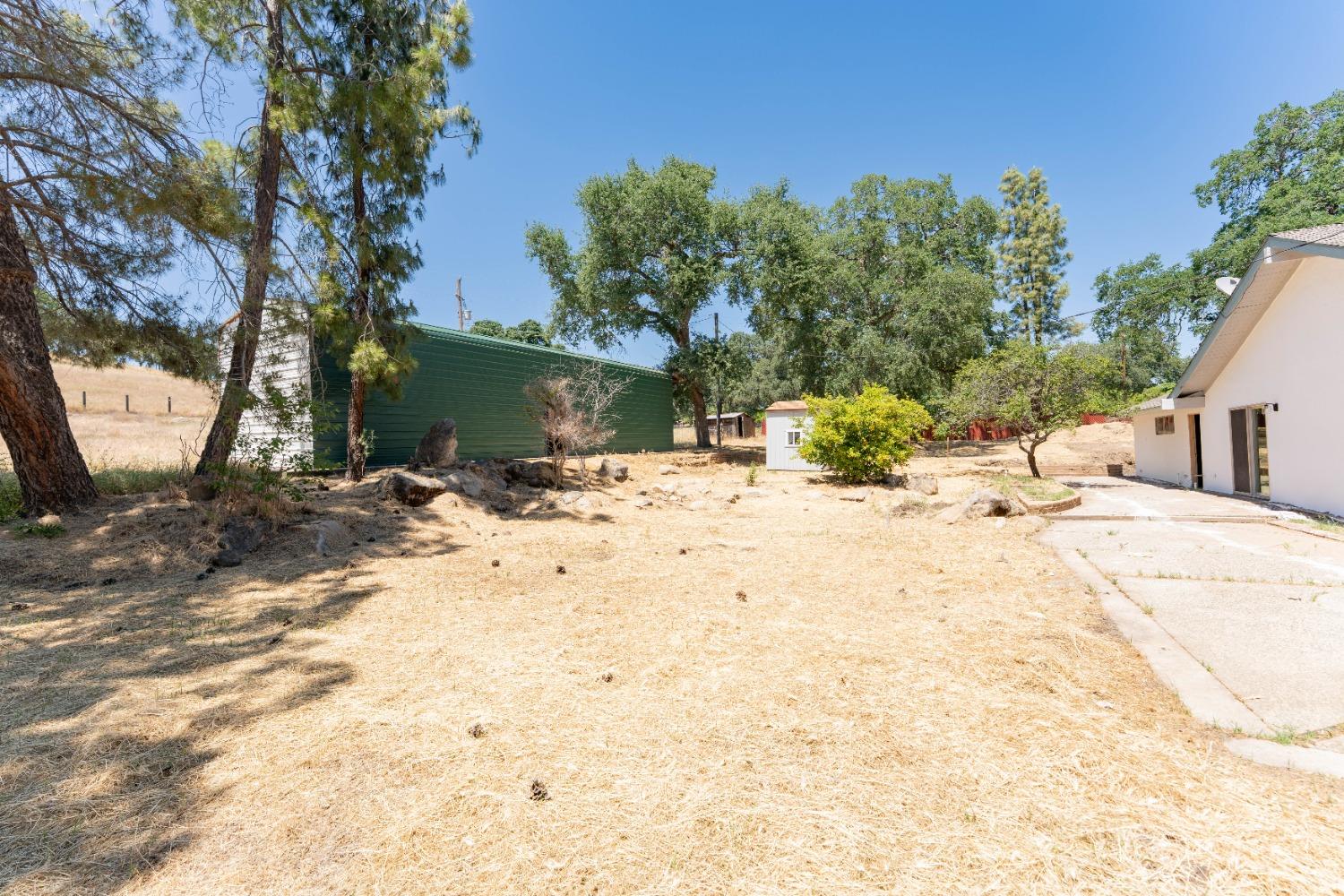 47517 Road 200 O'Neals, CA 93645 - Photo 37 of 54 a view of a yard with snow on the road