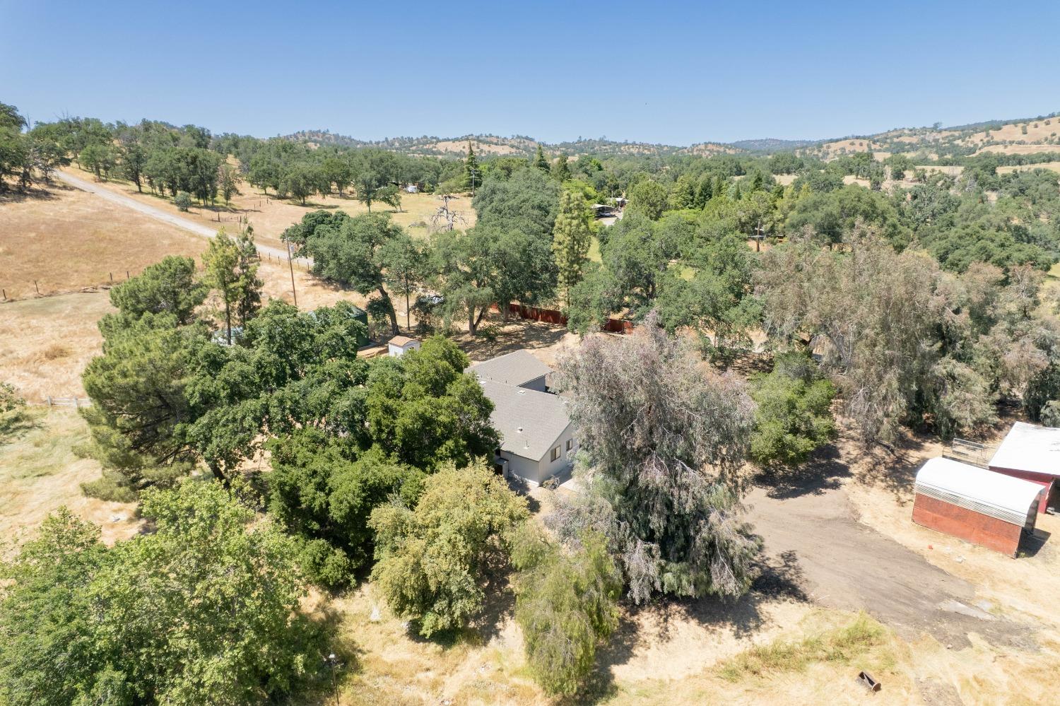 47517 Road 200 O'Neals, CA 93645 - Photo 44 of 54 a view of a forest with houses
