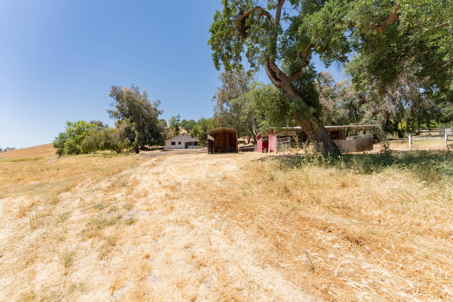 47517 Road 200 O'Neals, CA 93645 - Photo 45 of 54 a view of swimming pool with a yard