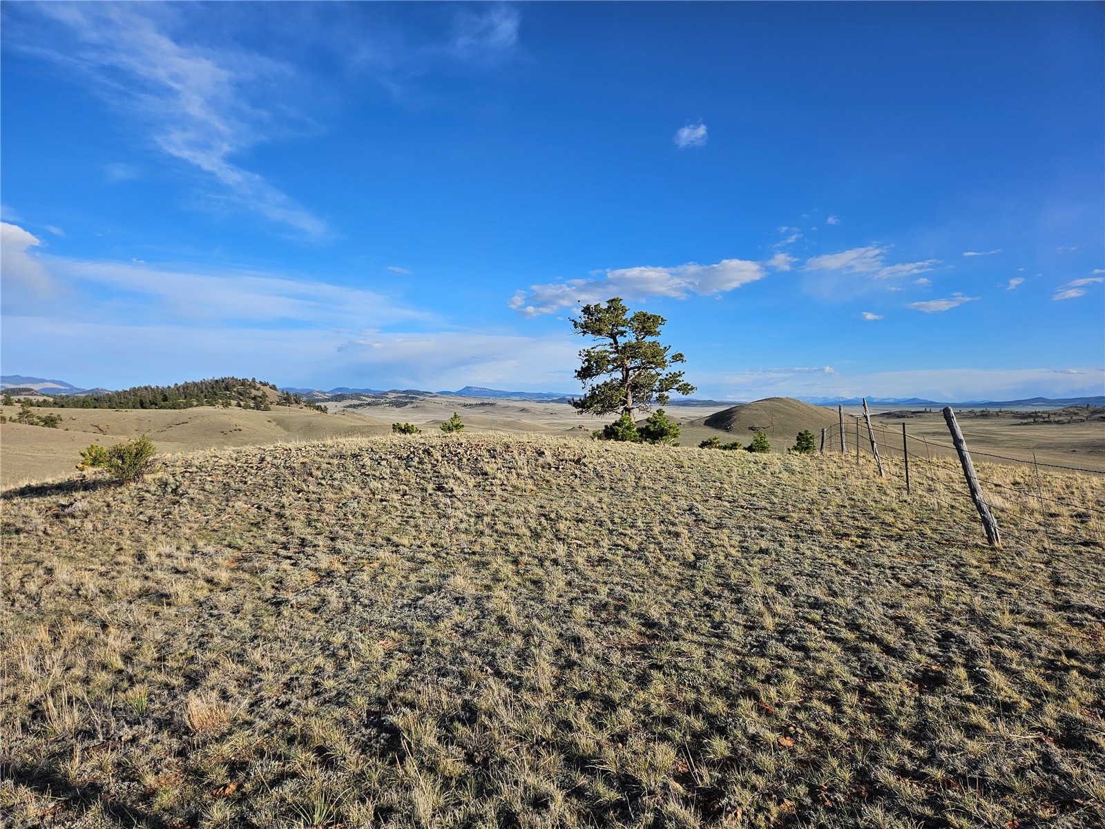 Pcs#24142 Antero Road Hartsel, CO 80449 - Photo 32 of 50