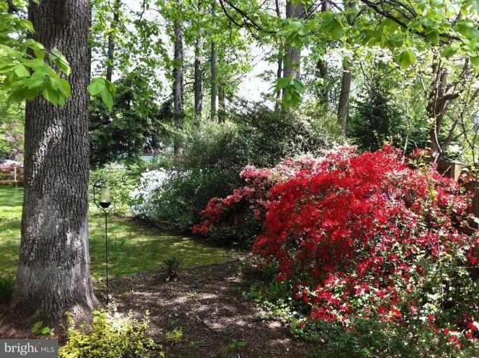 221 Rickswood Road Lutherville-Timonium, MD 21093 - Photo 19 of 30 Rear garden in springtime