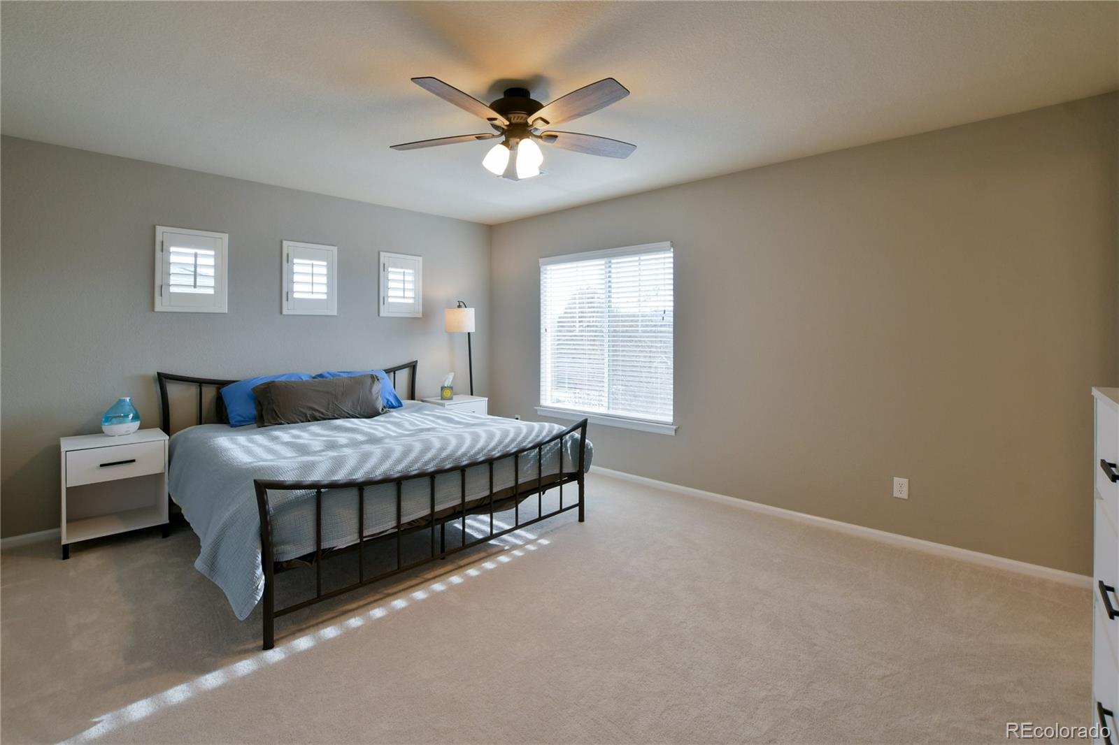 156 Whitehaven Circle Highlands Ranch, CO 80129 - Photo 17 of 30 a bedroom with a bed and window