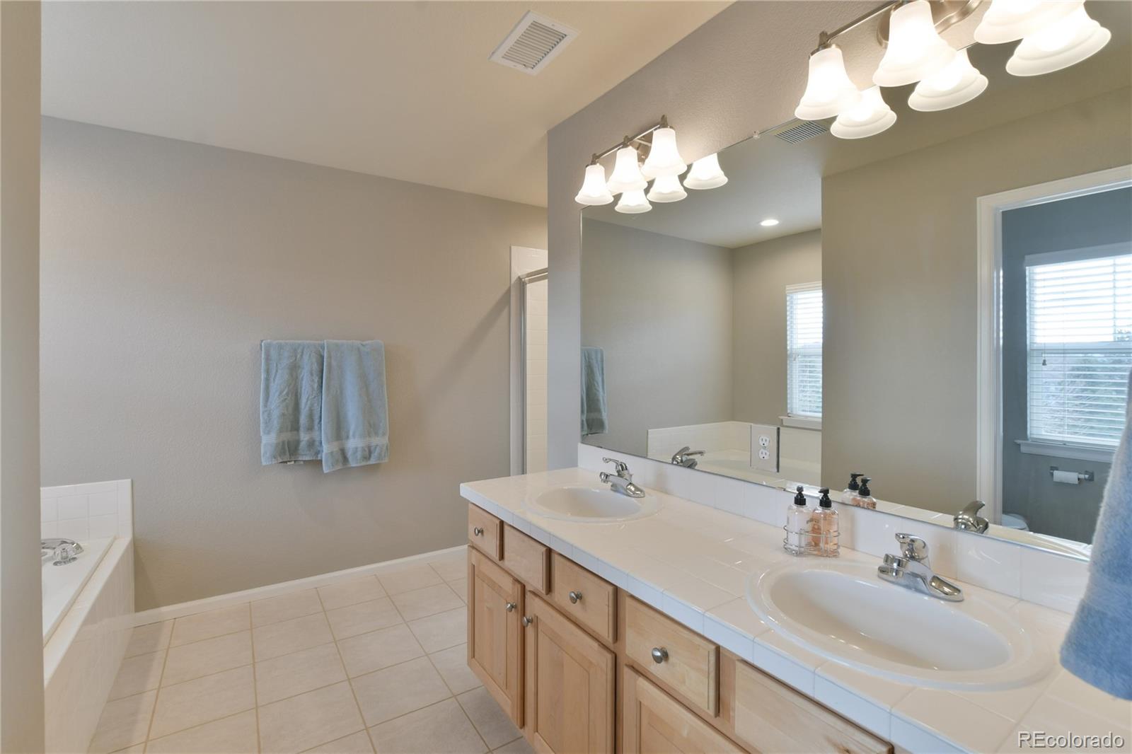 156 Whitehaven Circle Highlands Ranch, CO 80129 - Photo 19 of 30 a bathroom with a sink a large mirror and a light fixture