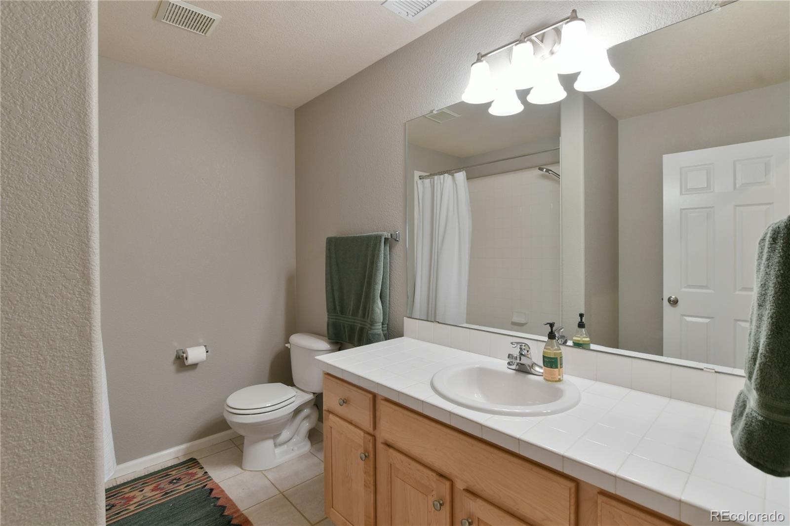 156 Whitehaven Circle Highlands Ranch, CO 80129 - Photo 26 of 30 a bathroom with a sink a toilet and a mirror