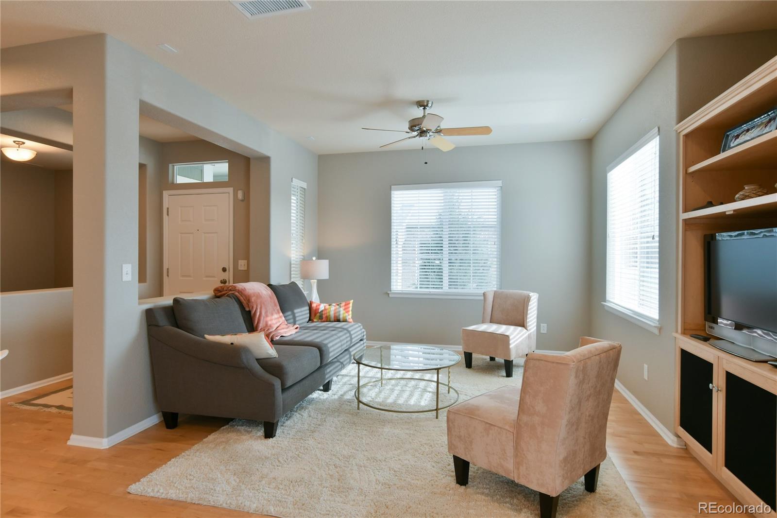 156 Whitehaven Circle Highlands Ranch, CO 80129 - Photo 5 of 30 a living room with furniture fireplace and a flat screen tv