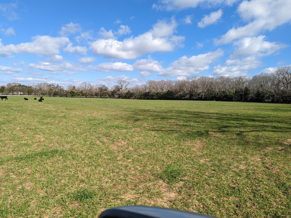 0 County Road 112 Dothan, AL 36303 - Photo 5 of 10