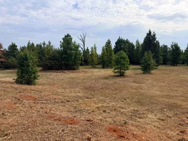 a view of outdoor space